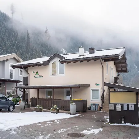 Σπίτι διακοπών Pretty In Hollersbach Near Forest Hollersbach im Pinzgau