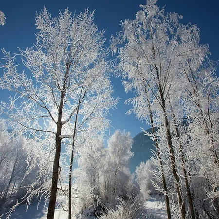 Garden Apartment Near Wildkogel Ski-Lift Vakantiehuis *