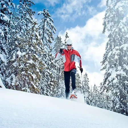 Garden Apartment Near Wildkogel Ski-Lift Ferienhaus *