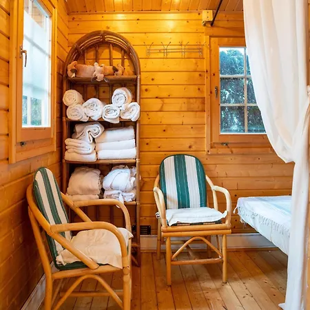 Garden Apartment Near Wildkogel Ski-Lift Vakantiehuis Hollersbach im Pinzgau