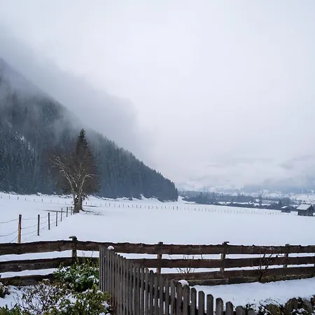 Vakantiehuis Garden Apartment Near Wildkogel Ski-Lift Hollersbach im Pinzgau