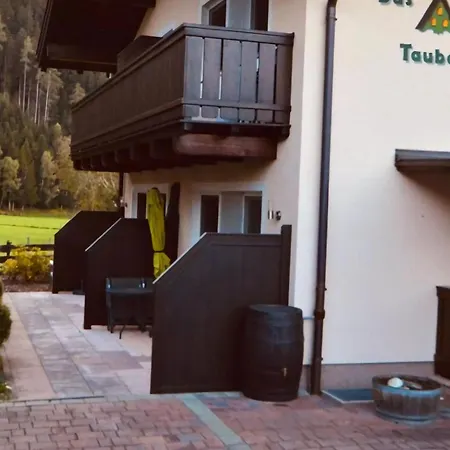 Garden Apartment Near Wildkogel Ski-Lift