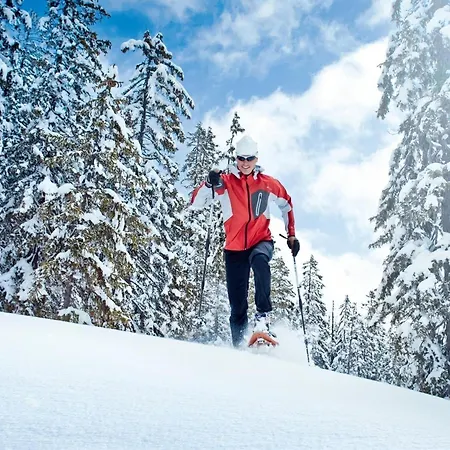 Garden Apartment Near Wildkogel Ski-Lift