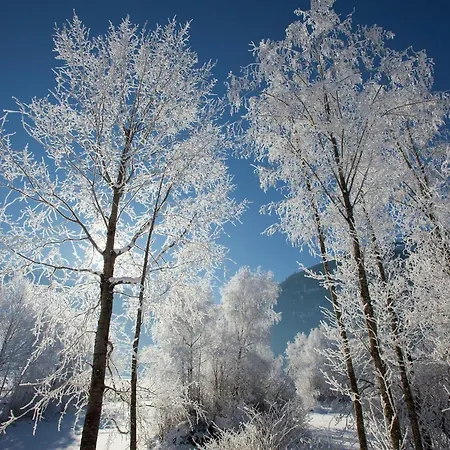 Garden Apartment Near Wildkogel Ski-Lift *
