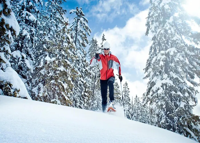 Garden Apartment Near Wildkogel Ski-Lift