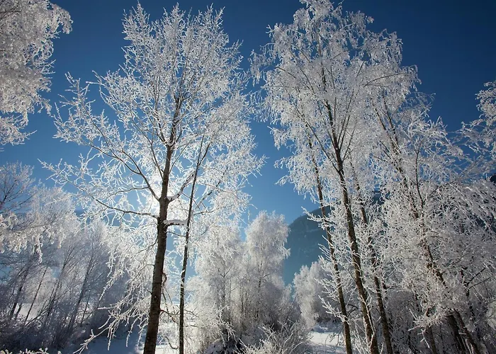 Garden Apartment Near Wildkogel Ski-Lift Casa vacanze Hollersbach im Pinzgau