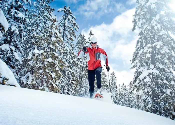 Garden Apartment Near Wildkogel Ski-Lift