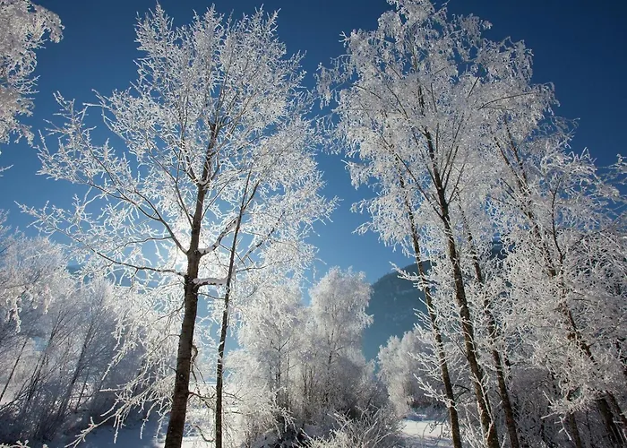 Garden Apartment Near Wildkogel Ski-Lift *